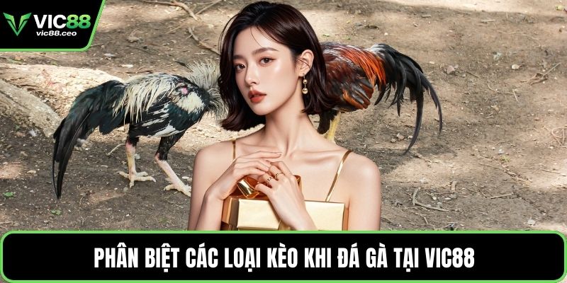 Phân biệt các loại kèo khi đá gà tại Vic88